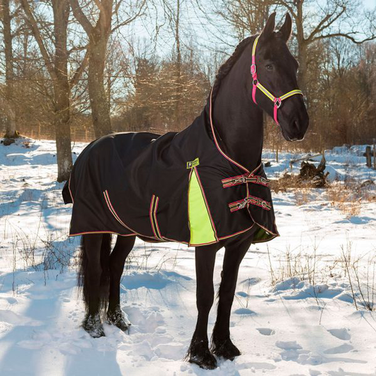 Globus Sport Safir- Regn och utetäcke 100g - Svart (55 cm)
