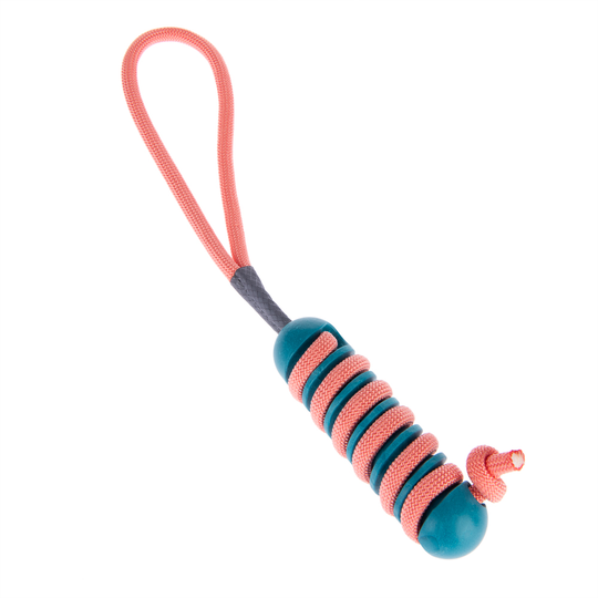TPR Stick Lolly hundleksak - 1 st
