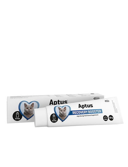 Aptus Recovery Booster Cat 60g - Kosttillskott för katt