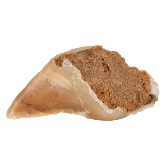 Trixie nöthov med köttpastej - 10 x 115 g