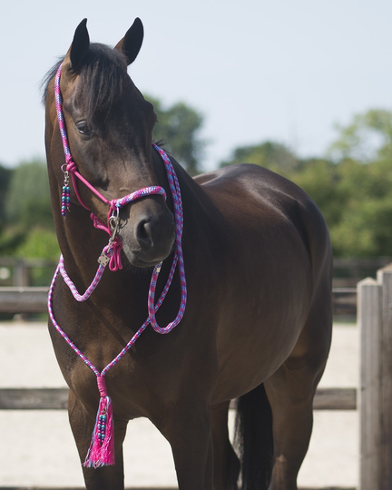 QHP Liberty Repgrimma Set med Tyglar och Halsring - Fuchsia (Ponny)