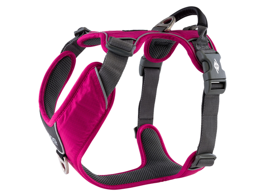 Comfort Walk Pro Harness - XS / Wild Rose