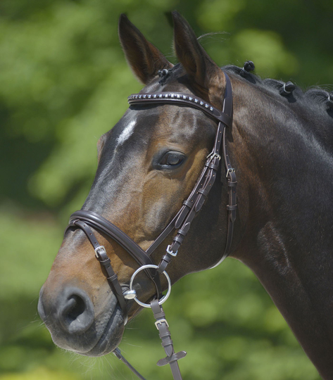 Waldhausen STAR TRÄNS MED NITAR (Cob) (Svart)