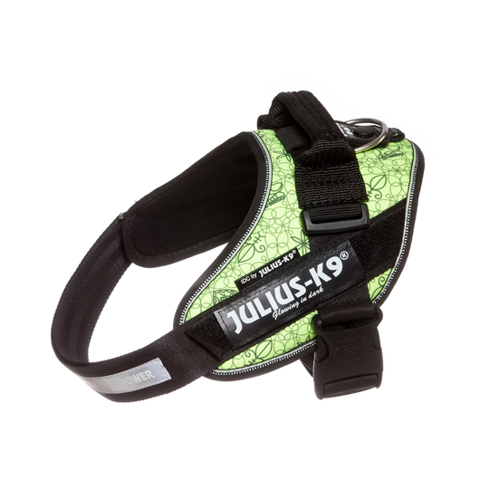 Julius-K9 IDC® Powerharness Hundsele - Attila (2)