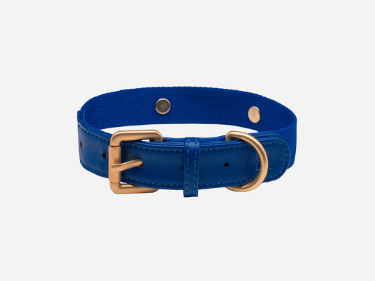 Konny Collar - XS / Imperial Blue