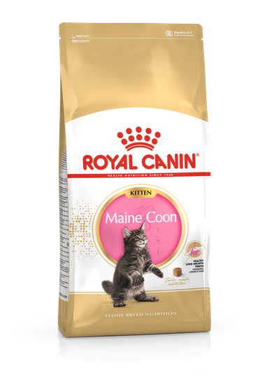Maine Coon Kitten Torrfoder - 4 kg