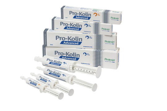 Pro-Kolin Advanced Cat - 15 ml