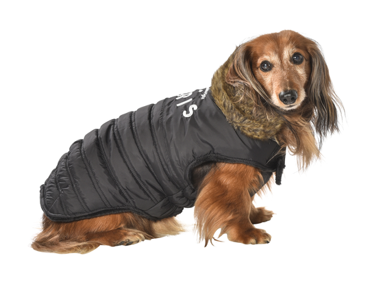 Bobby Faubourg Vinterjacka till Hund - Svart (S - 34 cm)