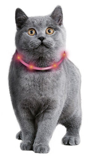 Visio Light - Blinkande LED- halsband för Katt/Liten hund - Röd