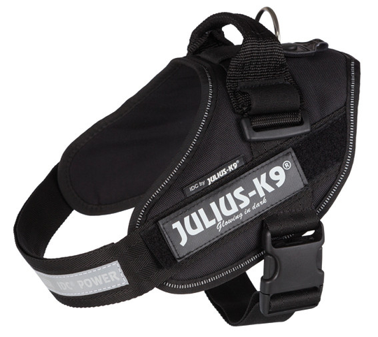 Hundsele IDC Svart - Mini-Mini/S