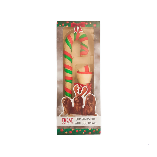 Christmas Box Dog Chew