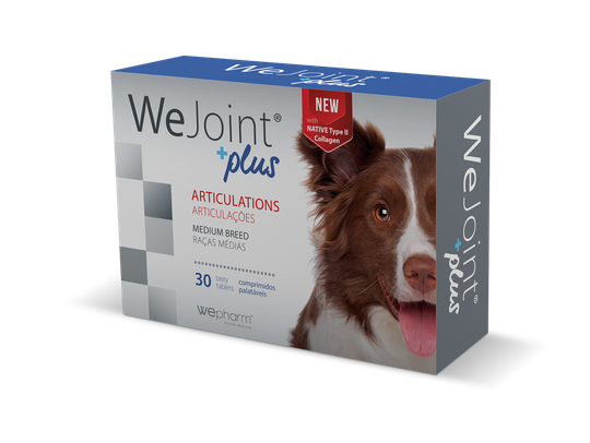 WeJoint Plus - Medium Breed