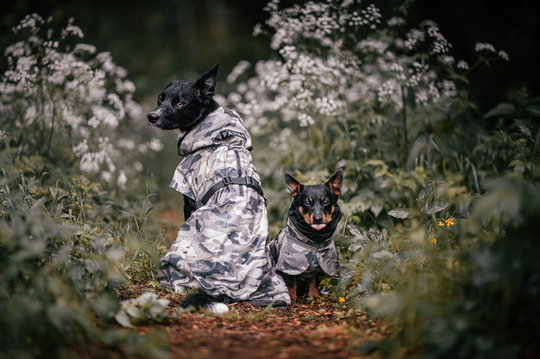 Reflekterande Regnjacka Hund, Camo - 20