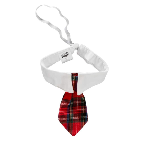 Little&Bigger Xmas Slips med Halsband (S)