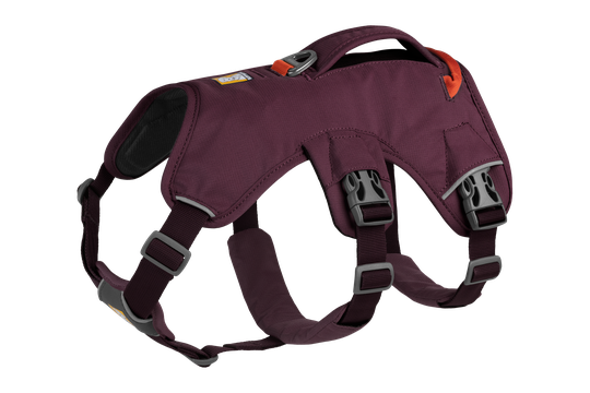 Ruffwear Web Master™ Sele - Purple Rain (M)