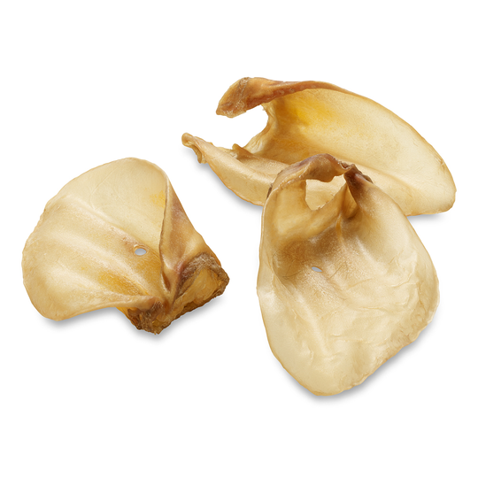 Oxöron med öronmussla