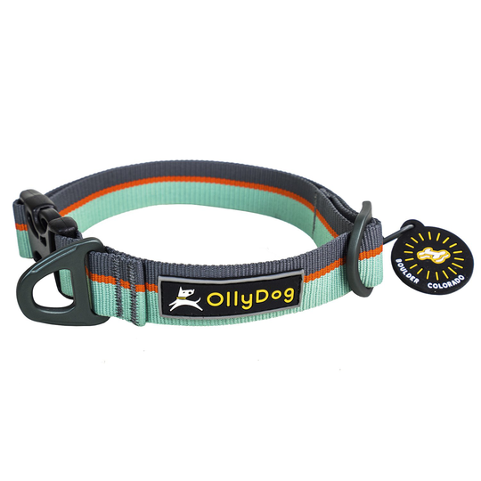 OllyDog Flagstaff Hundhalsband- Surf (L)