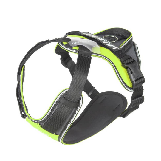 Julius-K9 IDC® Longwalk- Neon/Grå (XL)