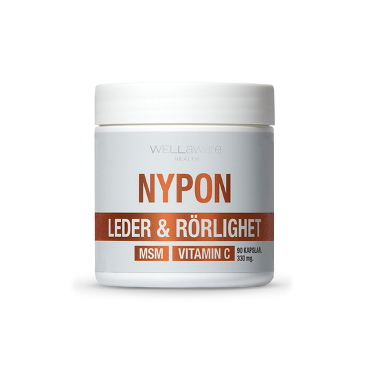 WellAware Nypon - 90 st kapslar