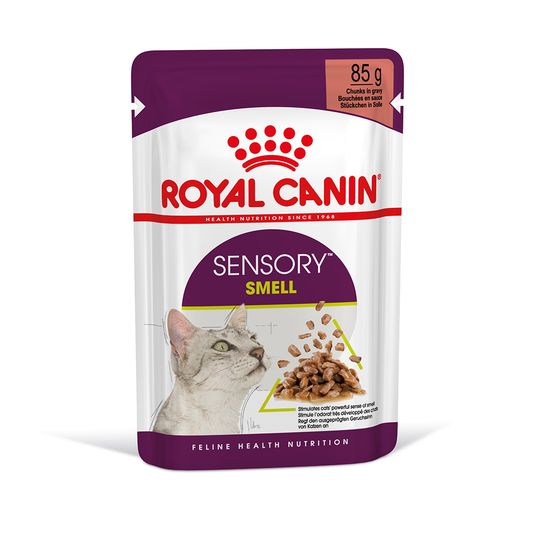 36 + 12 på köpet! 48 x 85 g Royal Canin våtfoder katt - Sensory Smell i sås