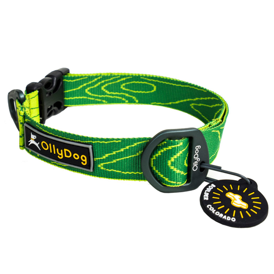 OllyDog Flagstaff Hundhalsband- Sage Bark (L)