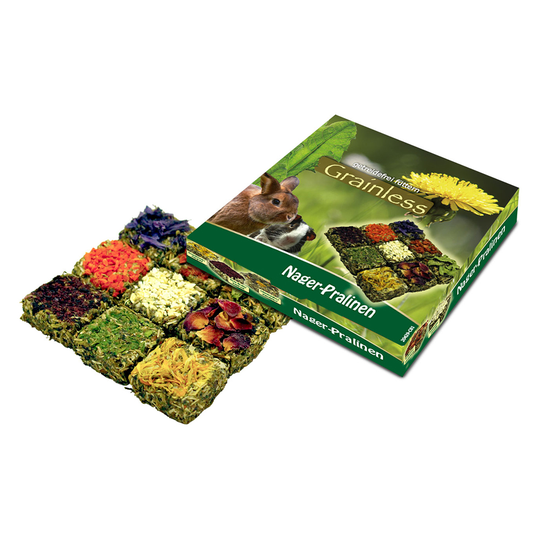 JR Farm Grainless praliner - Ekonomipack: 2 x 125 g