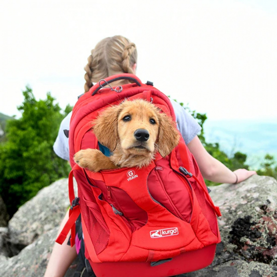 Kurgo G-Train K9 Pack Ryggsäck Röd