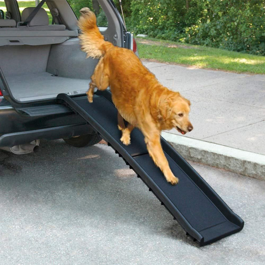 All For Paws Dog Bilramp (Plast)